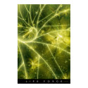 Life Force posters by creativ82 Life Force posters