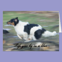 Life goes by in a blur... cards