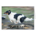 Life goes by in a blur... cards