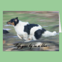 Life goes by in a blur... cards