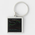 Life Has  It's Ups & Downs Key Chains