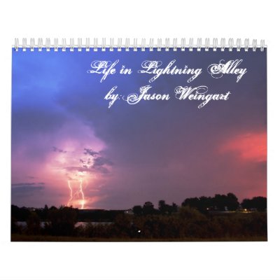 Life in Lightning Alley by:Jason Weingart Wall Calendars Life in Lightning Alley by:Jason Weingart Wall Calendars