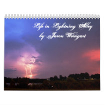 Life in Lightning Alley by:Jason Weingart Wall Calendars