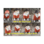Life in the Fast Lane! postcards