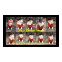 Life in the Fast Lane! posters