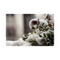 Life in the winter posters