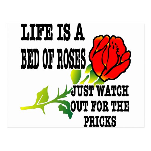 Essay on life is a bed of roses