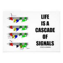 Life Is A Cascade Of Signals (Signal Transduction) Invites