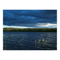Life is a constant struggle posters by EarthPortrait Life is a constant struggle posters