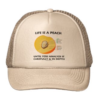 Life Is A Peach Until You Analyze Carefully Depth Trucker Hats