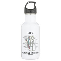 Life Is A Renal Existence (Kidney Nephron) 18oz Water Bottle