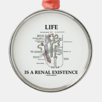 Life Is A Renal Existence (Kidney Nephron) Round Metal Christmas Ornament