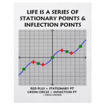 Life Is A Series Of Stationary Pts Inflection Pts flyers