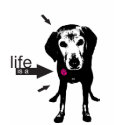 Life is a... Shirt