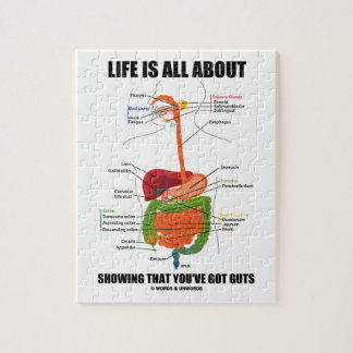 Digestive System Jigsaw Puzzles | Zazzle