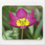 Life is Beautiful Floral Mousepad mousepads