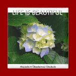 LIFE IS BEAUTIFUL (Mojisola a Gbadamosi Okubule) magnets