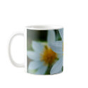 Life is Beautiful mugs