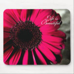 Life is Beautiful Pink Daisy Mousepad mousepads
