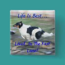 Life Is Best...,Lived  In The Fast Lane buttons