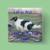 Life Is Best...,Lived  In The Fast Lane buttons