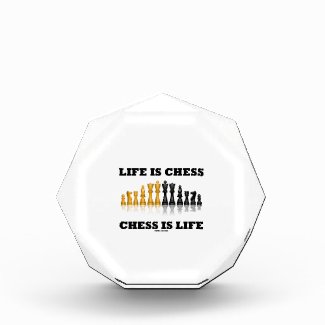 Life Is Chess Chess Is Life (Reflective Chess Set) Award