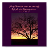 Life is filled with tests,...-Sunset Poster posters