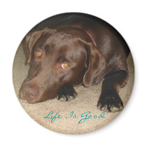 Life Is Good magnets