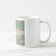 life is good on the plains coffee mugs