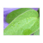 Life is Inspiration Leaf Post Card