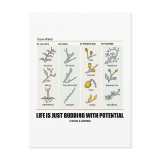 Life Is Just Budding With Potential (Bud Types) postcard