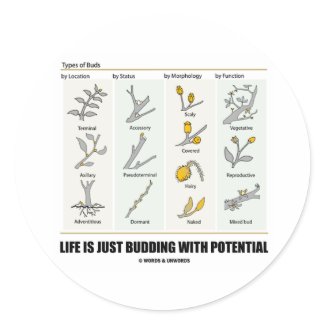Life Is Just Budding With Potential (Bud Types) sticker