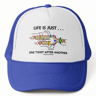 Life Is Just ... One Twist After Another (DNA) hat