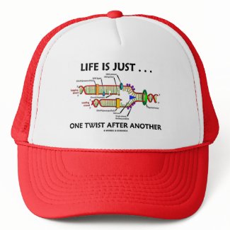 Life Is Just ... One Twist After Another (DNA) hat