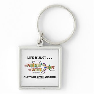 Life Is Just ... One Twist After Another (DNA) keychain