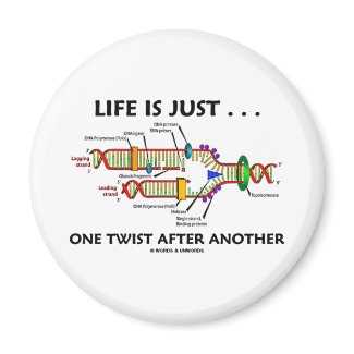 Life Is Just ... One Twist After Another (DNA) magnet