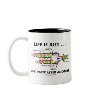 Life Is Just ... One Twist After Another (DNA) mug