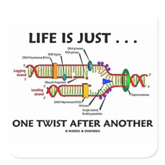 Life Is Just ... One Twist After Another (DNA) sticker