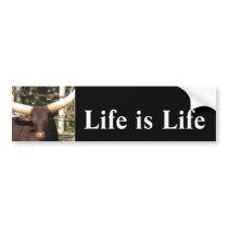 Life is Life     Bumper Sticker bumper stickers