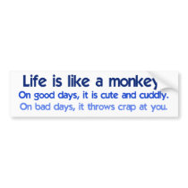 Life is like a Monkey Bumper Stickers