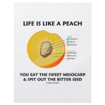 Life Is Like A Peach Eat Sweet Mesocarp Spit Out Flyer Design