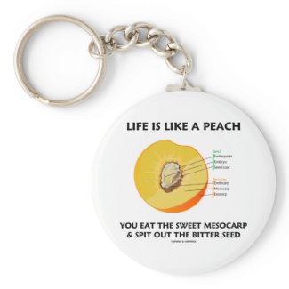 Life Is Like A Peach Eat Sweet Mesocarp Spit Out Key Chain