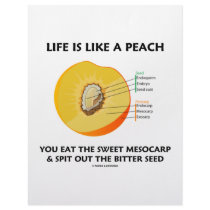 Life Is Like A Peach Eat Sweet Mesocarp Spit Out Letterhead