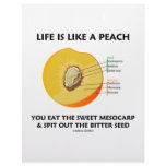Life Is Like A Peach Eat Sweet Mesocarp Spit Out Letterhead