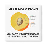 Life Is Like A Peach Eat Sweet Mesocarp Spit Out magnets