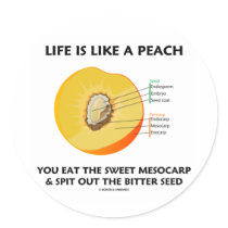 Life Is Like A Peach Eat Sweet Mesocarp Spit Out Round Sticker