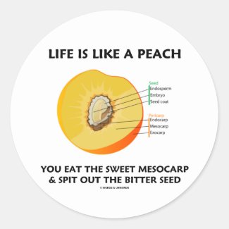 Life Is Like A Peach Eat Sweet Mesocarp Spit Out Round Sticker