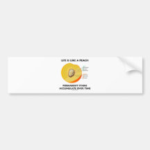 Life Is Like A Peach Permanent Stains Accumulate Bumper Stickers