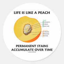 Life Is Like A Peach Permanent Stains Accumulate Stickers
