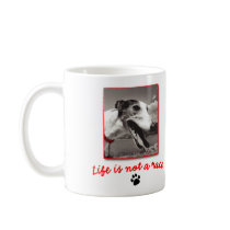 Life is NOT a Race Mug